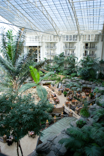An Indoor Garden? | Skylights