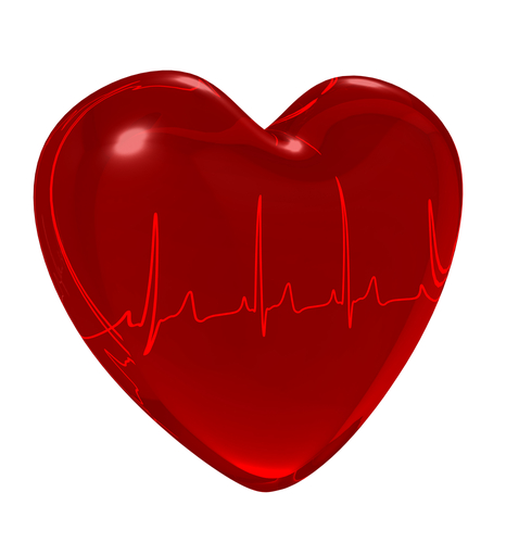 Leading with Our Hearts | DMG Heart Walk 2015