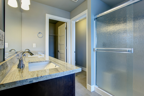 Glass Privacy | Glass Shower Doors
