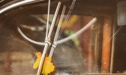 In a Scrape | Windshield Repair