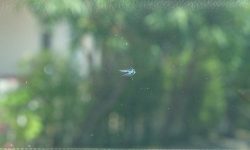 Clear View | Mobile Glass Repair